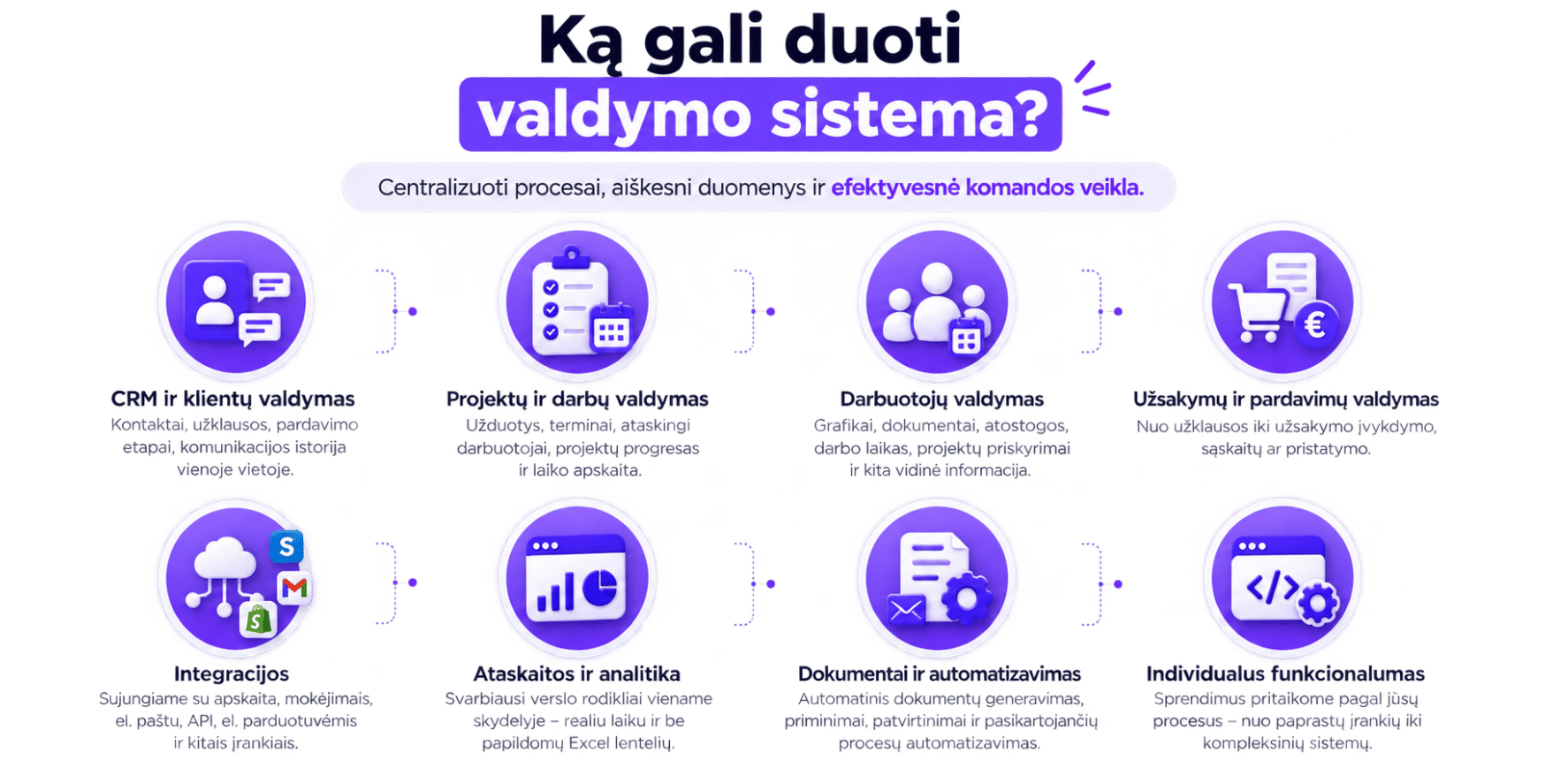 Verslo valdymo sistemos
